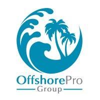 offshore pro group logo image