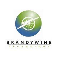 brandywine technology logo image