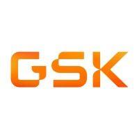 gsk logo image