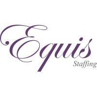 equis staffing logo image