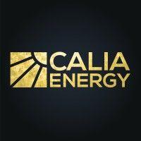 calia energy logo image