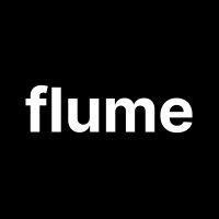 flume ai logo image