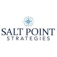 salt point strategies logo image