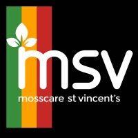 msv housing logo image