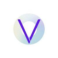 vividly space logo image