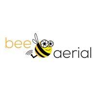 bee aerial