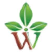 werindia.in logo image