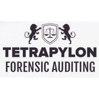 tetrapylon forensic auditing logo image