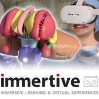 immertive logo image