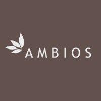 ambios ltd logo image