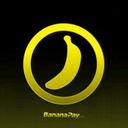 logo of Banana Pay Llc