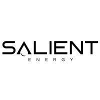 salient energy logo image