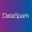 logo of Dataspark