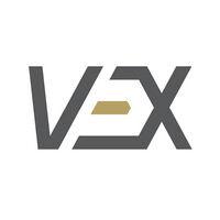 v-ex logo image