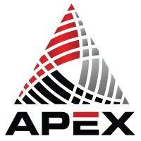 apex computers, inc logo image