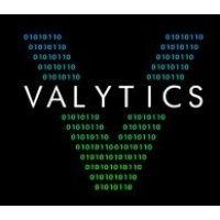 valytics llc logo image