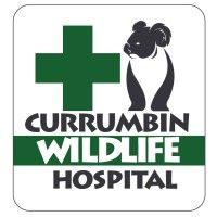 currumbin wildlife hospital logo image