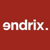 endrix logo image