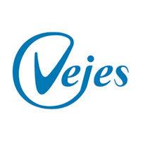 vejes logo image