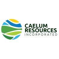 caelum resources logo image