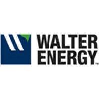 walter energy logo image