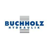 buchholz hydraulik logo image