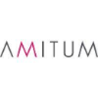 amitum logo image