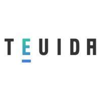 teuida logo image