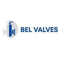 bel valves logo image