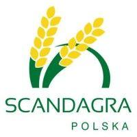 scandagra polska sp. z o.o. logo image