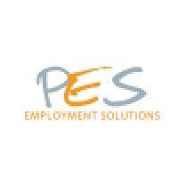 professional employment solutions, inc logo image