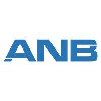 anb solutions pvt. ltd