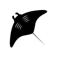 flying manta logo image