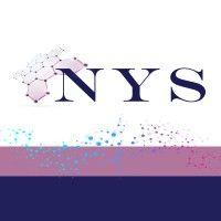 new york synthetics, inc logo image