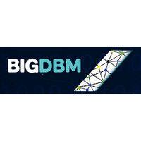 bigdbm logo image