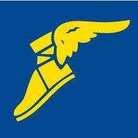 goodyear fleet logo image