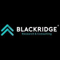 blackridge research & consulting® logo image