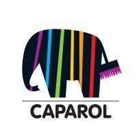 caparol polska sp. z o.o. logo image