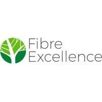 fibre excellence logo image