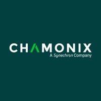 chamonix it logo image