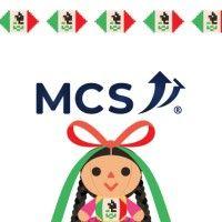 mcs holding (gssa, aircargo, wh & crossdock) logo image