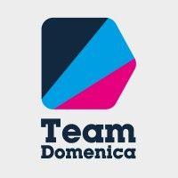 team domenica logo image