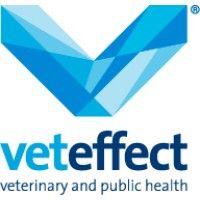 veteffect logo image