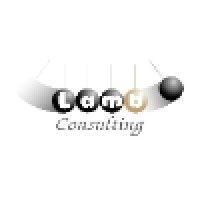 dave lamb consulting logo image