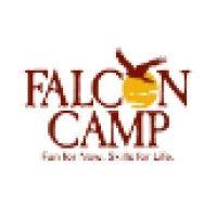 falcon camp logo image