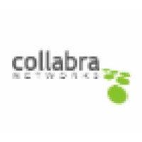 collabra networks logo image