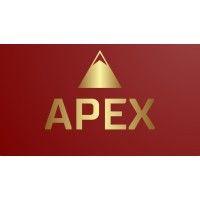 apex us financial pllc logo image