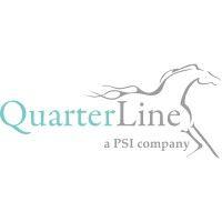 quarterline consulting services, llc logo image