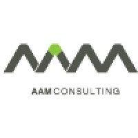 aam management information consulting ltd. logo image