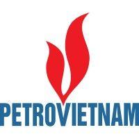 petrovietnam logo image